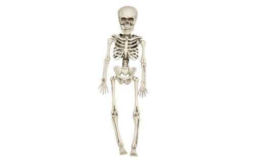Csontváz - Felakasztható csontváz 40 cm - Halloween - GUIRCA