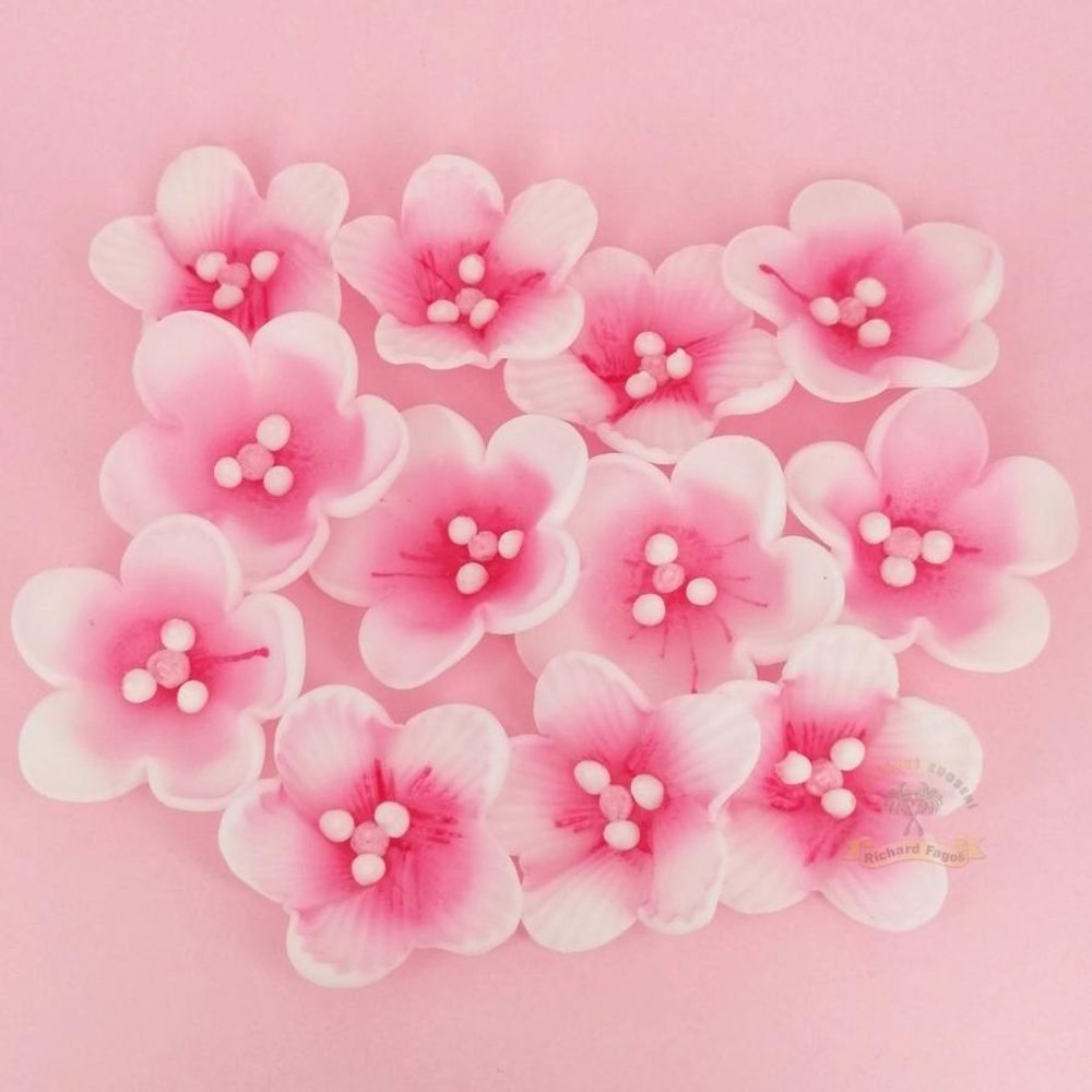 Rózsaszín almavirágok 12 db (36 g) - Fagoš