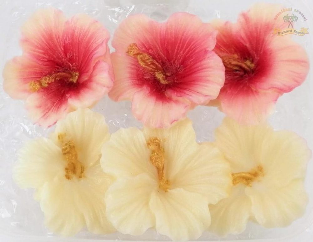Hibiszkusz virágok dobozban – fehér és fehér-rózsaszín - Fagoš