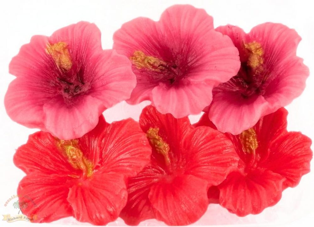 Hibiszkusz virágok dobozban – rózsaszín és piros (6 db) - Fagoš