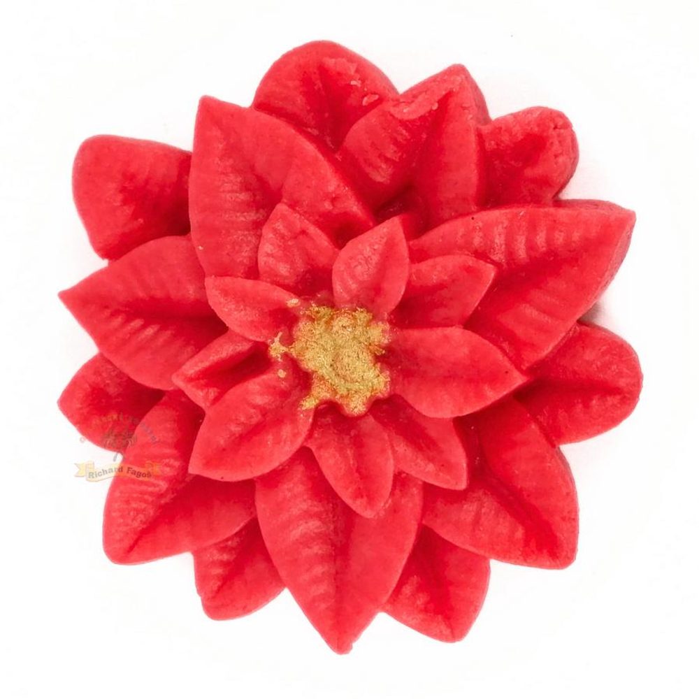 Karácsonyi csillag 16 g – piros - Fagoš